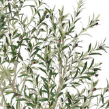 96" Green Artificial Olive Tree In Round White Pot - HomeRoots - Flyclothing LLC