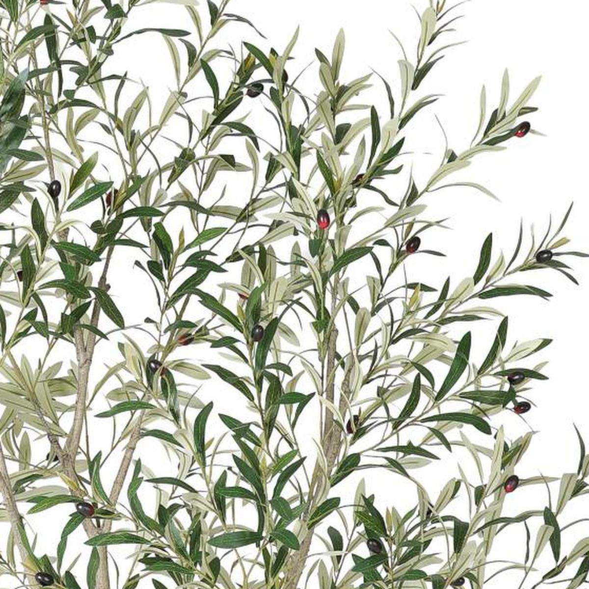 96" Green Artificial Olive Tree In Round White Pot - HomeRoots - Flyclothing LLC
