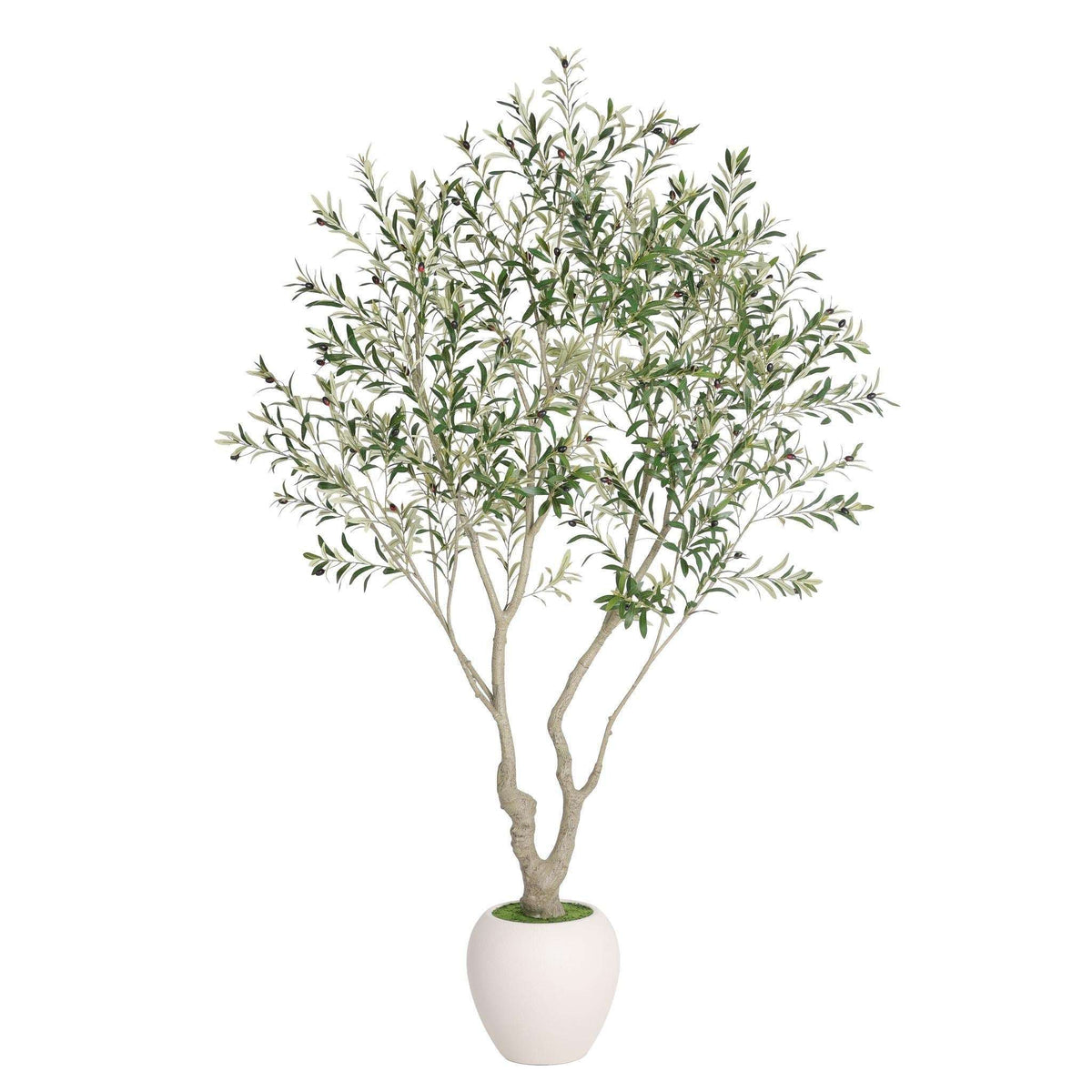 96" Green Artificial Olive Tree In Round White Pot - HomeRoots - Flyclothing LLC