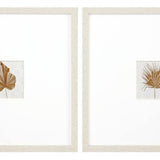 Set Of Two Neutral Palm Distressed White Framed Wall Art - HomeRoots - Flyclothing LLC