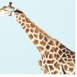 Giraffe Pop White Framed Wall Art