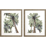 Set Of Two La Palma Brown Framed Wall Art