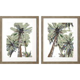 Set Of Two La Palma Brown Framed Wall Art