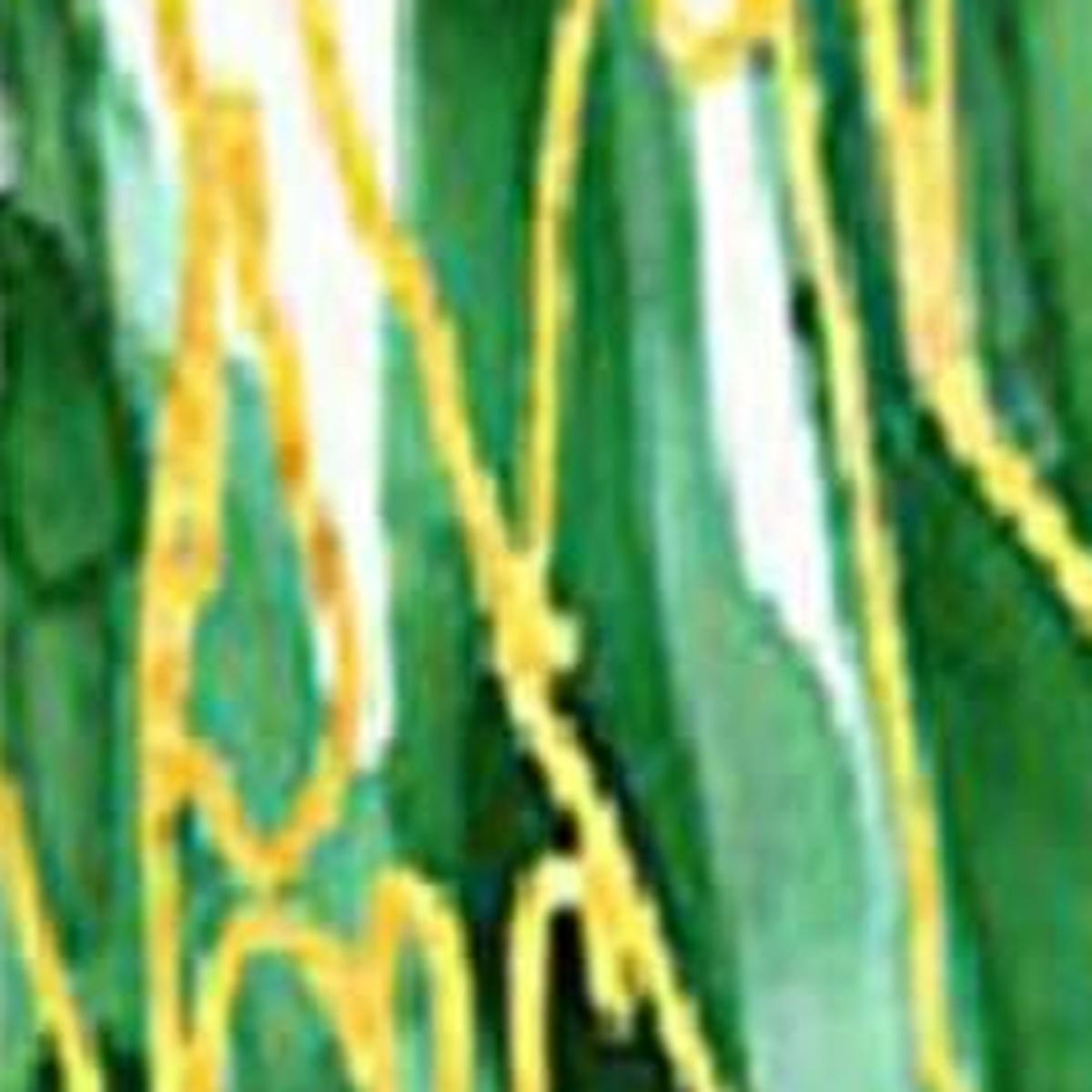 Spectrum Palm Fronds IV Distressed White Framed Wall Art - HomeRoots - Flyclothing LLC