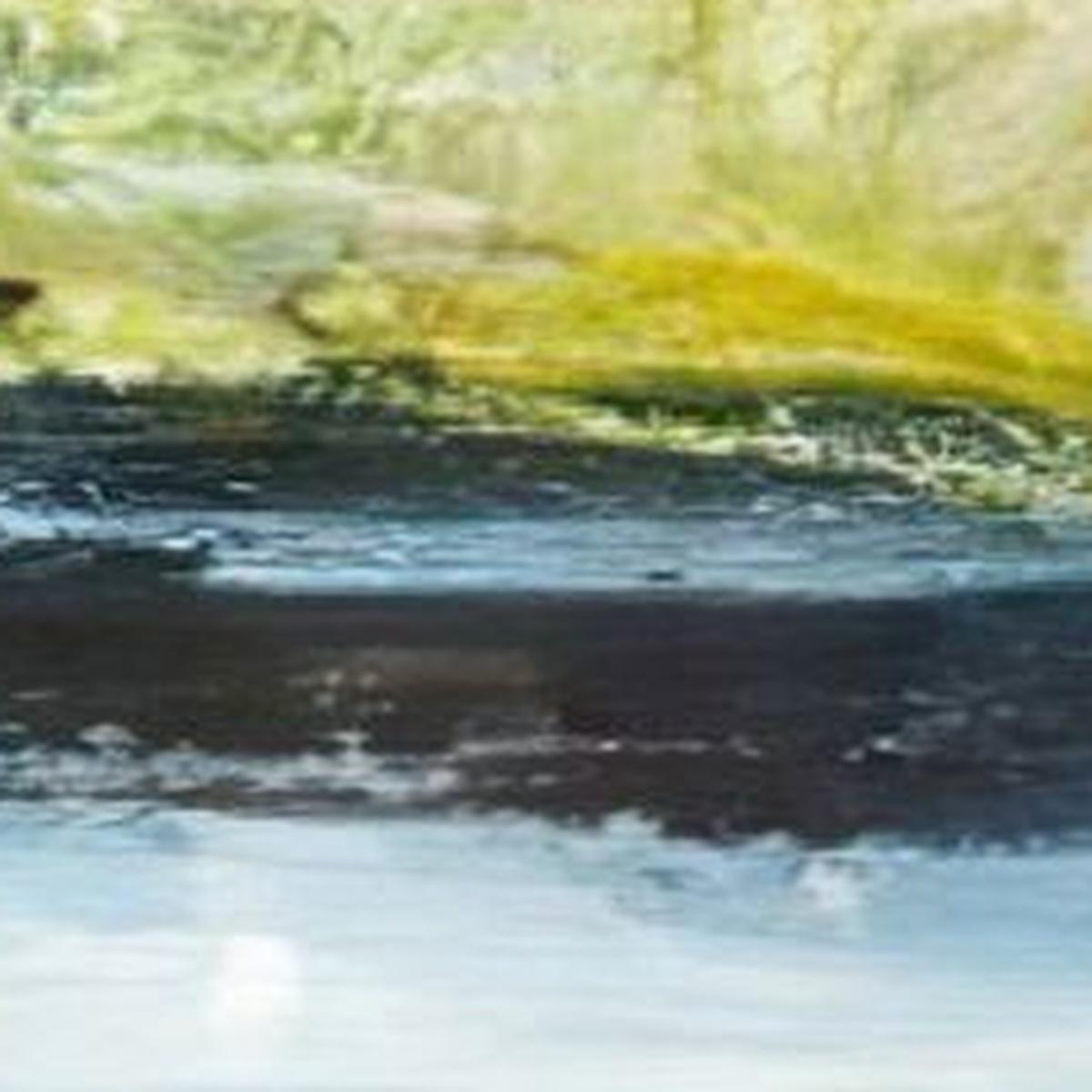Marshlands II Distressed White Framed Wall Art