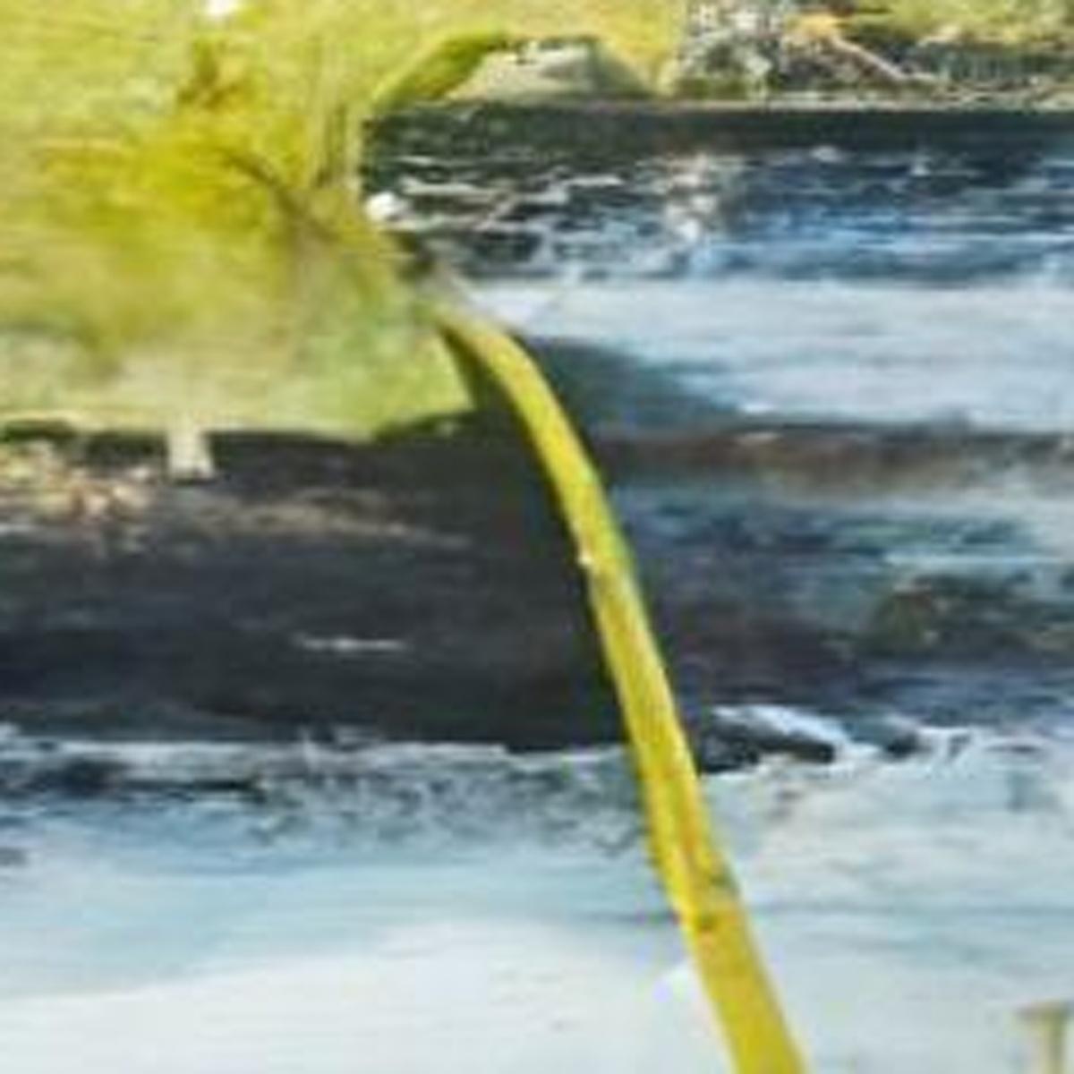 Marshlands II Distressed White Framed Wall Art