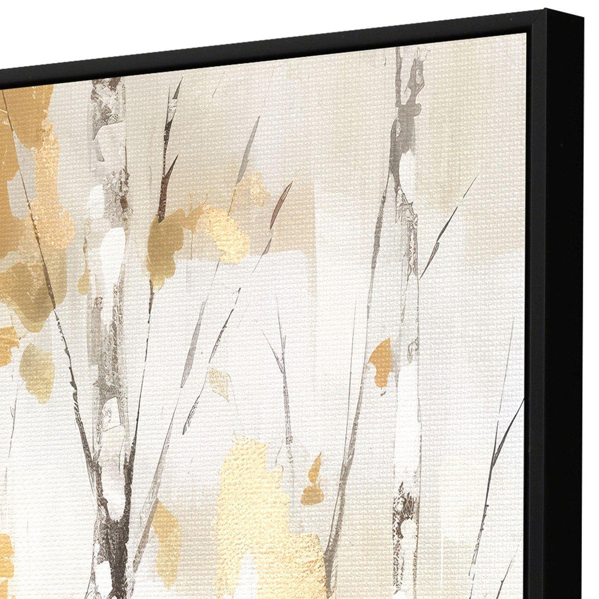 Birch Silhouette I Black Floater Frame Wall Art