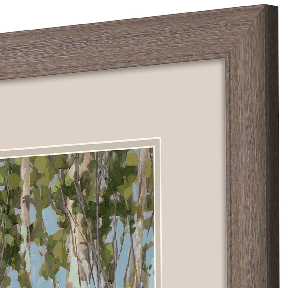 Set Of Two Aspen Spring Brown Framed Wall Art