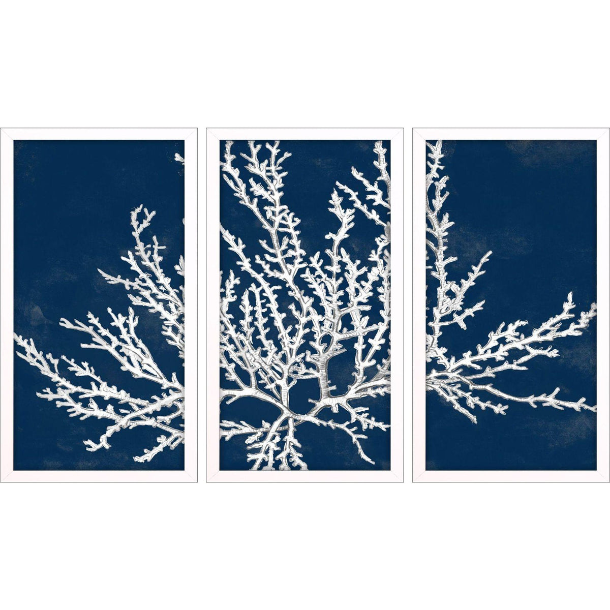 Set Of Three Coastal Coral White Framed Wall Art