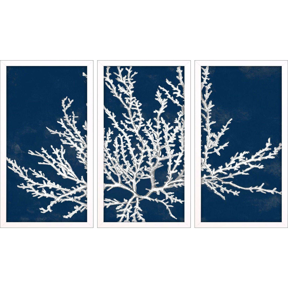 Set Of Three Coastal Coral White Framed Wall Art - HomeRoots - Flyclothing LLC
