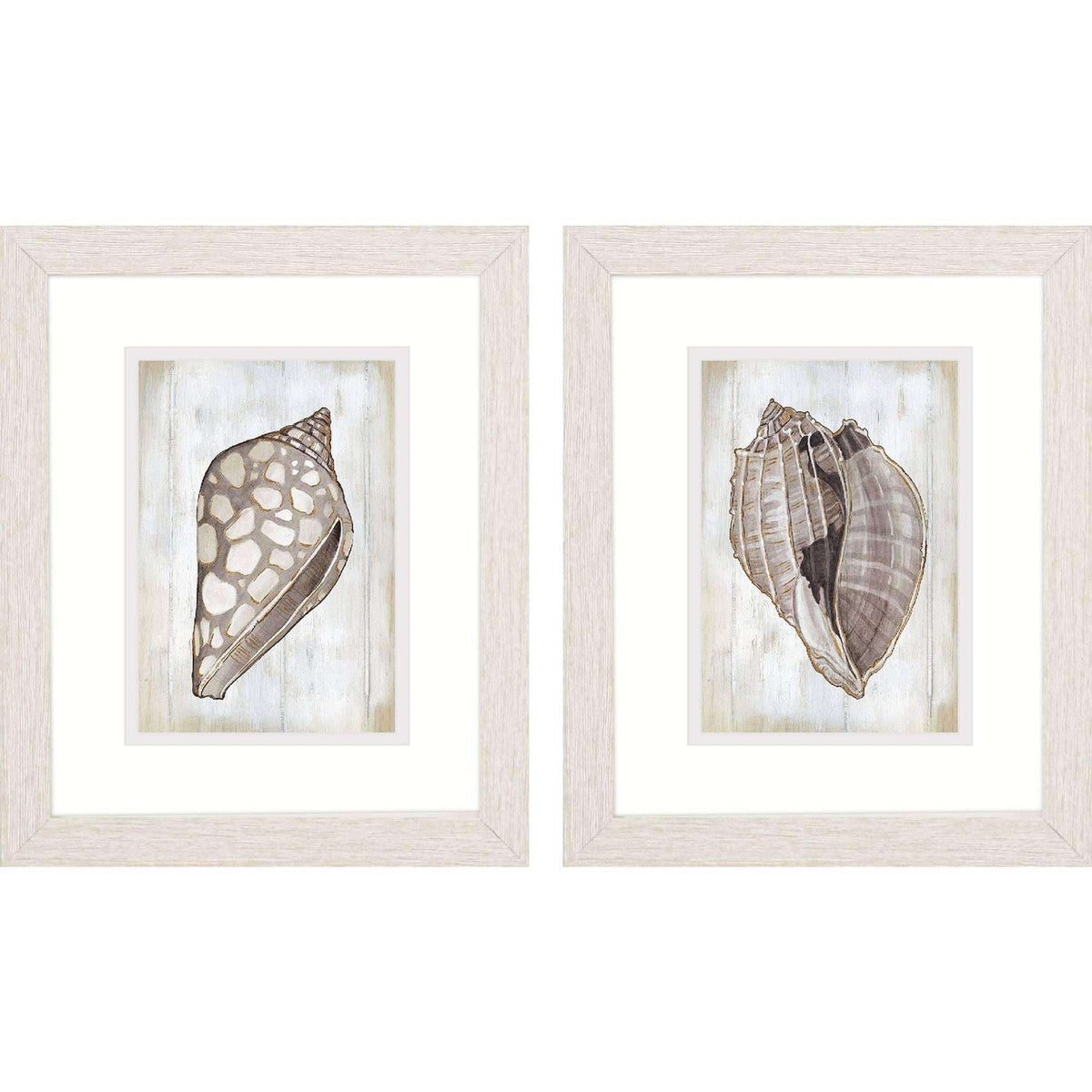 Set Of Two Ocean Cone Distressed White Framed Wall Art - HomeRoots - Flyclothing LLC