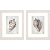 Set Of Two Ocean Cone Distressed White Framed Wall Art - HomeRoots - Flyclothing LLC