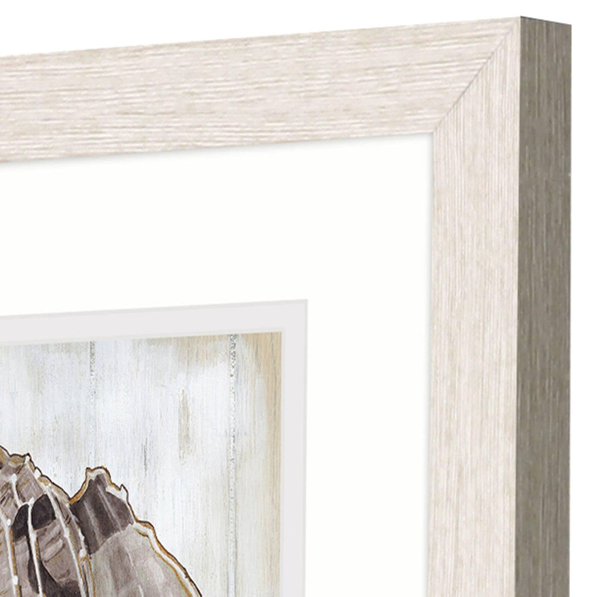 Set Of Two Ocean Cone Distressed White Framed Wall Art - HomeRoots - Flyclothing LLC