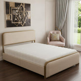 Natural Metal Queen Bed Frame