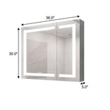 36" Silver Glass Wall Mounted No Textural Detailing Double Door Medicine Cabinet - HomeRoots - Flyclothing LLC