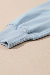 Half Zip Long Sleeve Top and Joggers Set - Trendsi - Flyclothing LLC