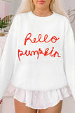 HELLO PUMPKIN Round Neck Long Sleeve Sweater - Trendsi - Flyclothing LLC