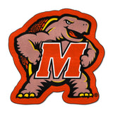 Maryland Terrapins Mascot Rug - Maryland