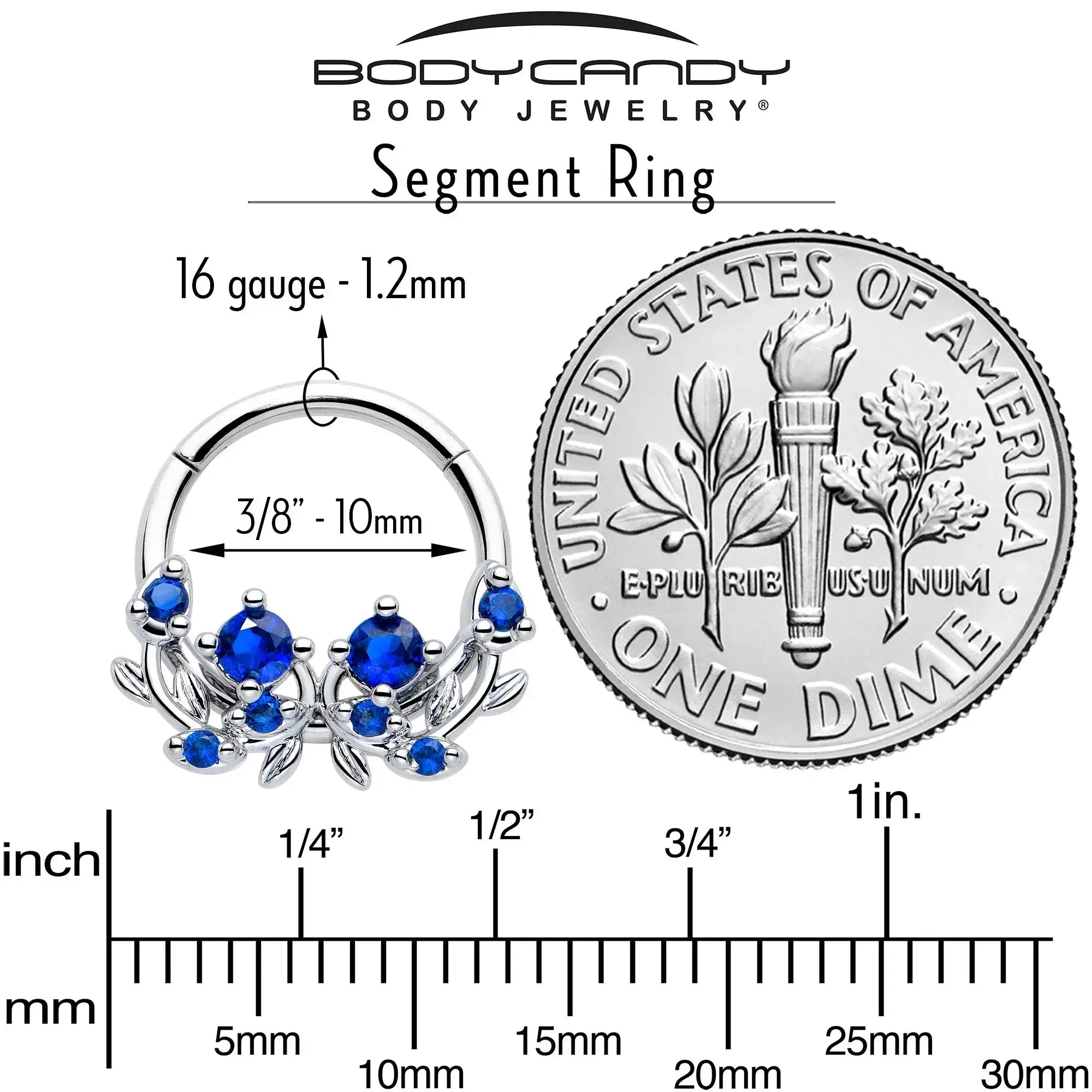 16G 3/8 Blue Gem Twining Vine Hinged Segment Ring - BodyCandy - Flyclothing LLC