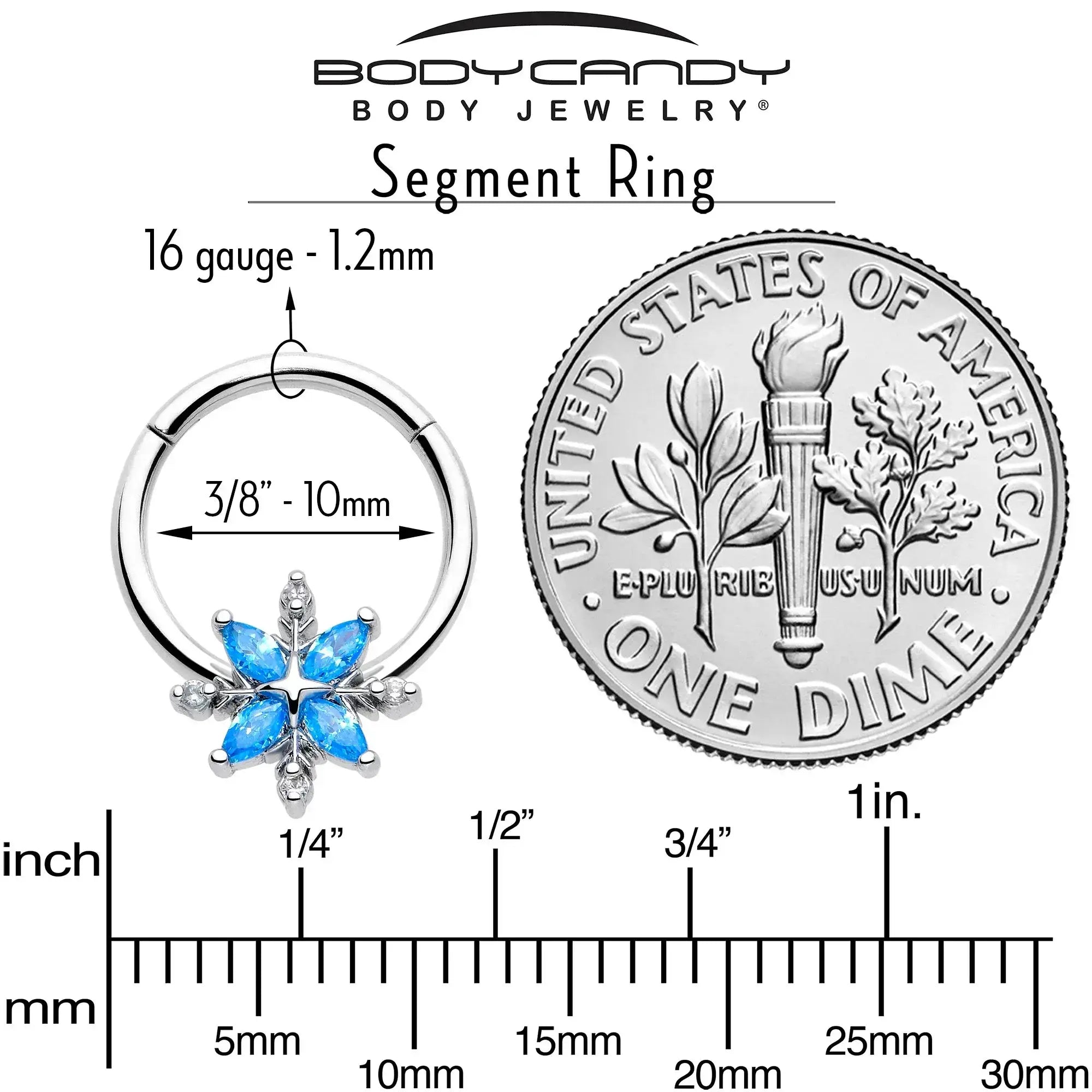 16G 3/8 Blue CZ Gem Classic Flower Hinged Segment Ring - BodyCandy - Flyclothing LLC