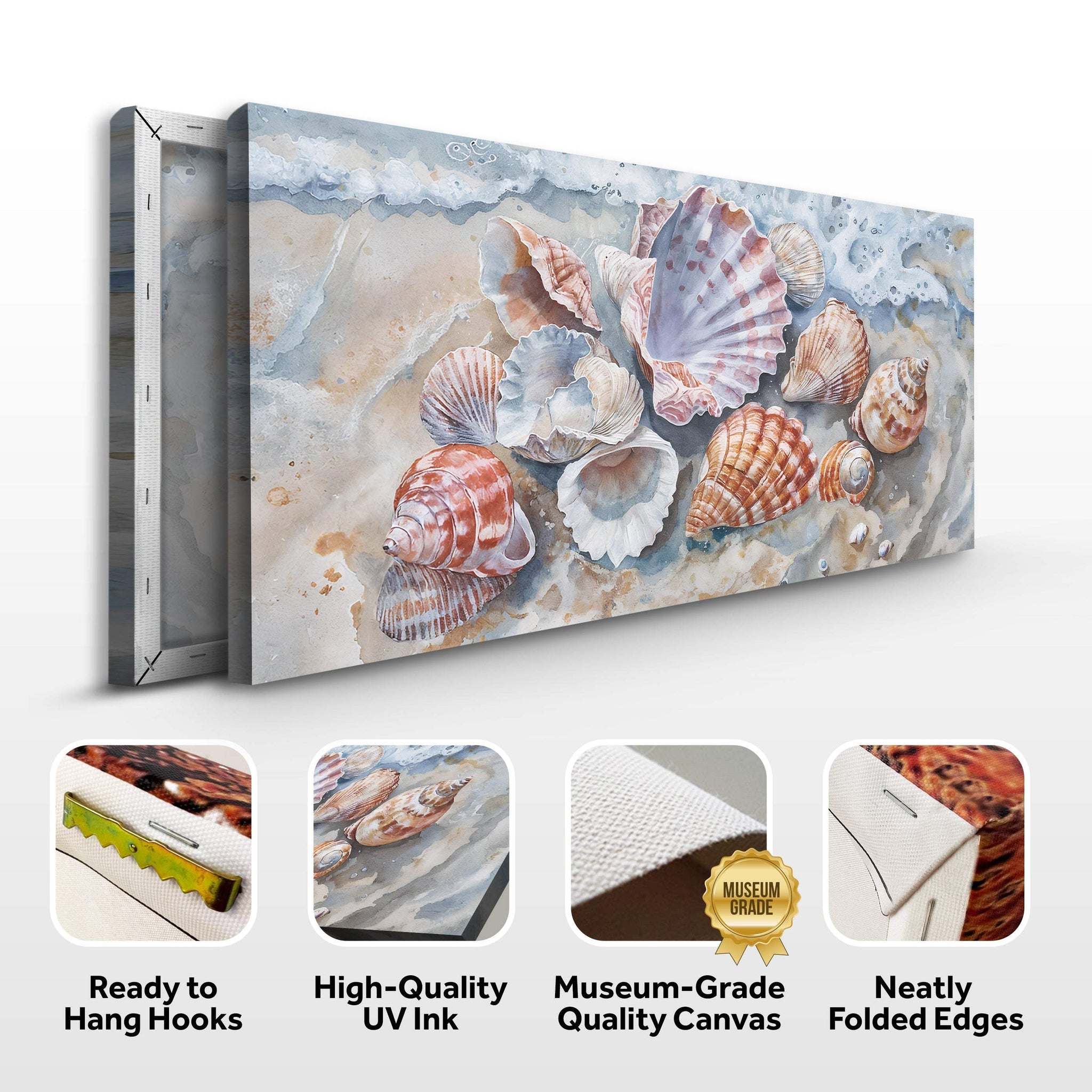 Sea Shells Modern Coastal Wall Art - Tailored Canvases - Flyclothing LLC