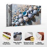 Sea Shells Modern Coastal Wall Art II - Tailored Canvases - Flyclothing LLC