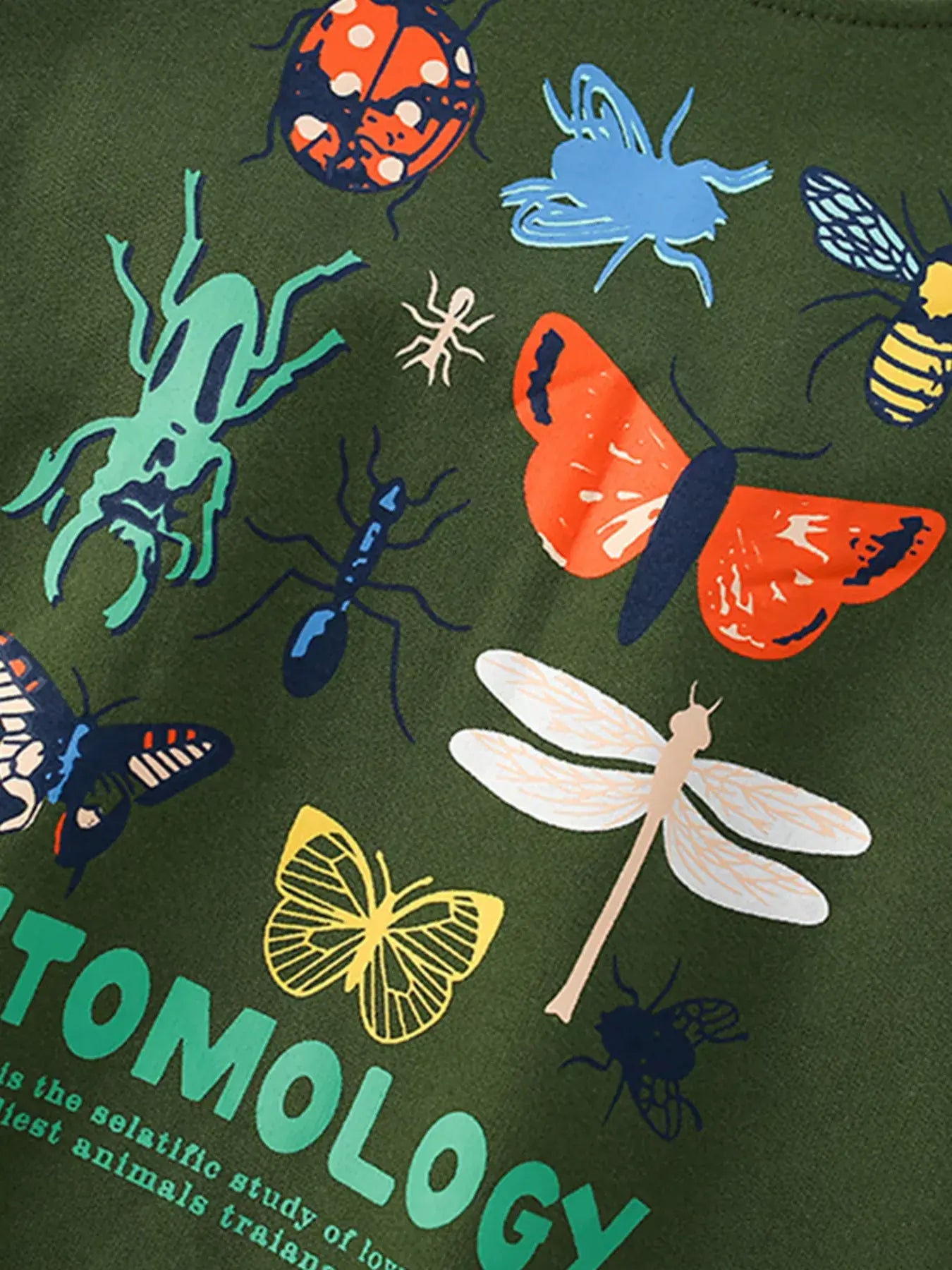 Children's Butterfly Crew Neck Sweatshirt - Trendsi - Flyclothing LLC