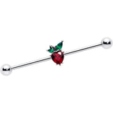 14G Red Green Gem Strawberry Heart Industrial Barbell 38mm - BodyCandy - Flyclothing LLC
