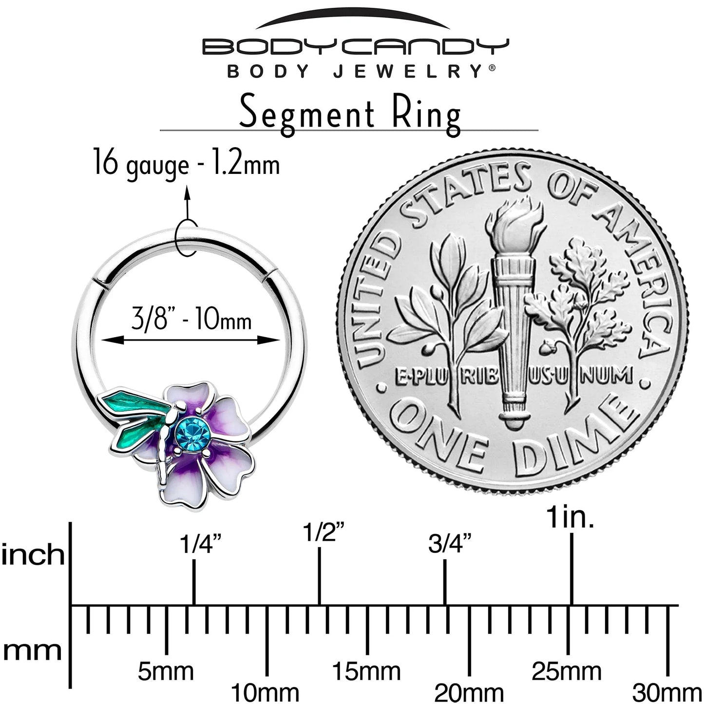 16G 3/8 Blue Gem Faerie Flower Purple Hinged Segment Ring - BodyCandy - Flyclothing LLC
