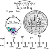 16G 3/8 Blue Gem Faerie Flower Purple Hinged Segment Ring - BodyCandy - Flyclothing LLC