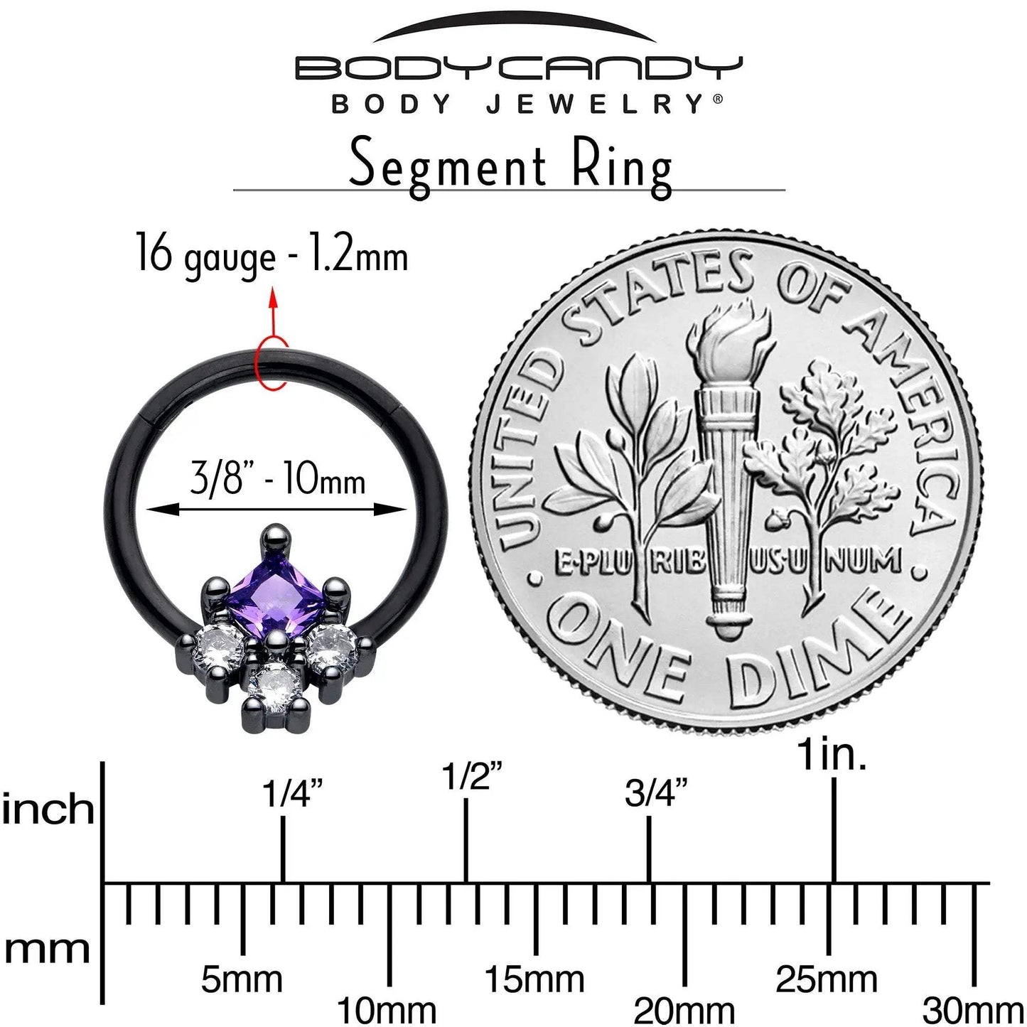 16G 3/8 Purple CZ Gem Black Rhombus Riot Hinged Segment Ring - BodyCandy - Flyclothing LLC