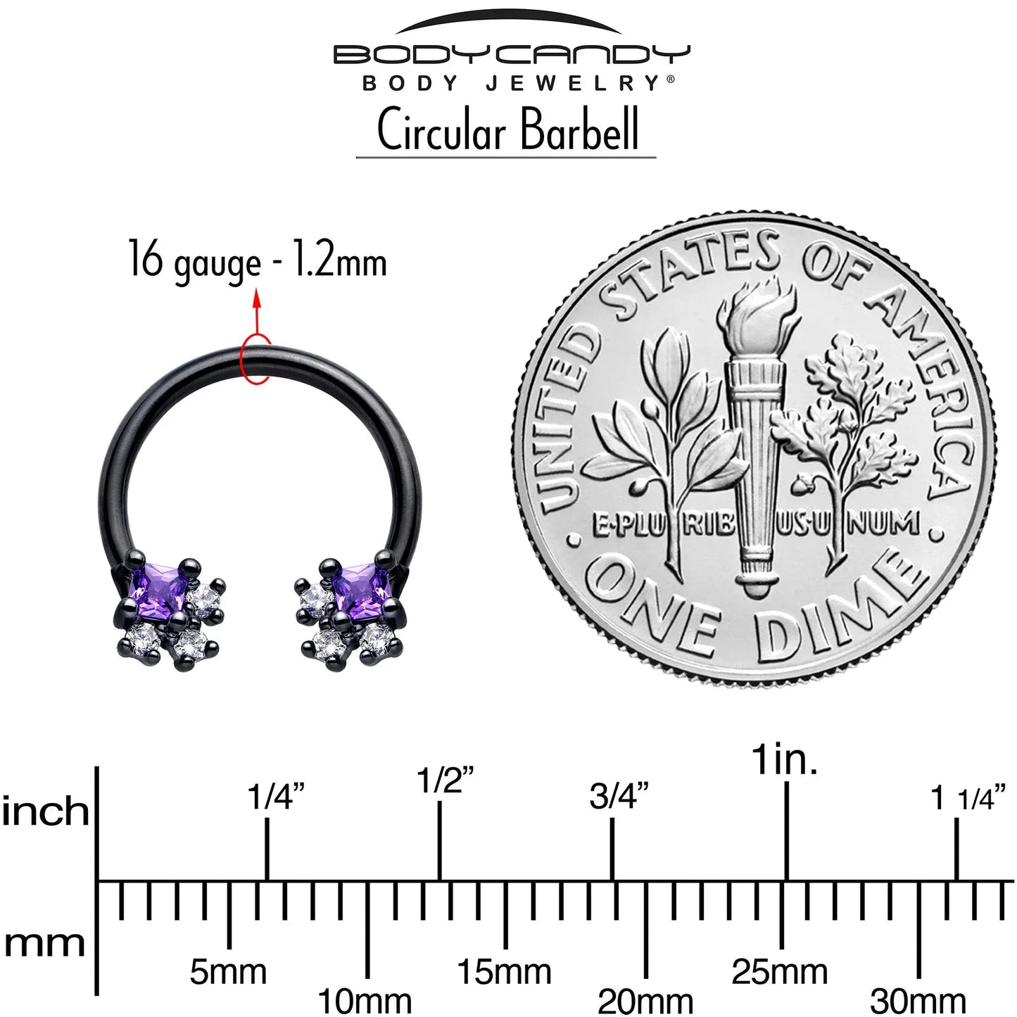 16G 3/8 Purple CZ Gem Black Rhombus Riot Horseshoe Circular Barbell - BodyCandy - Flyclothing LLC