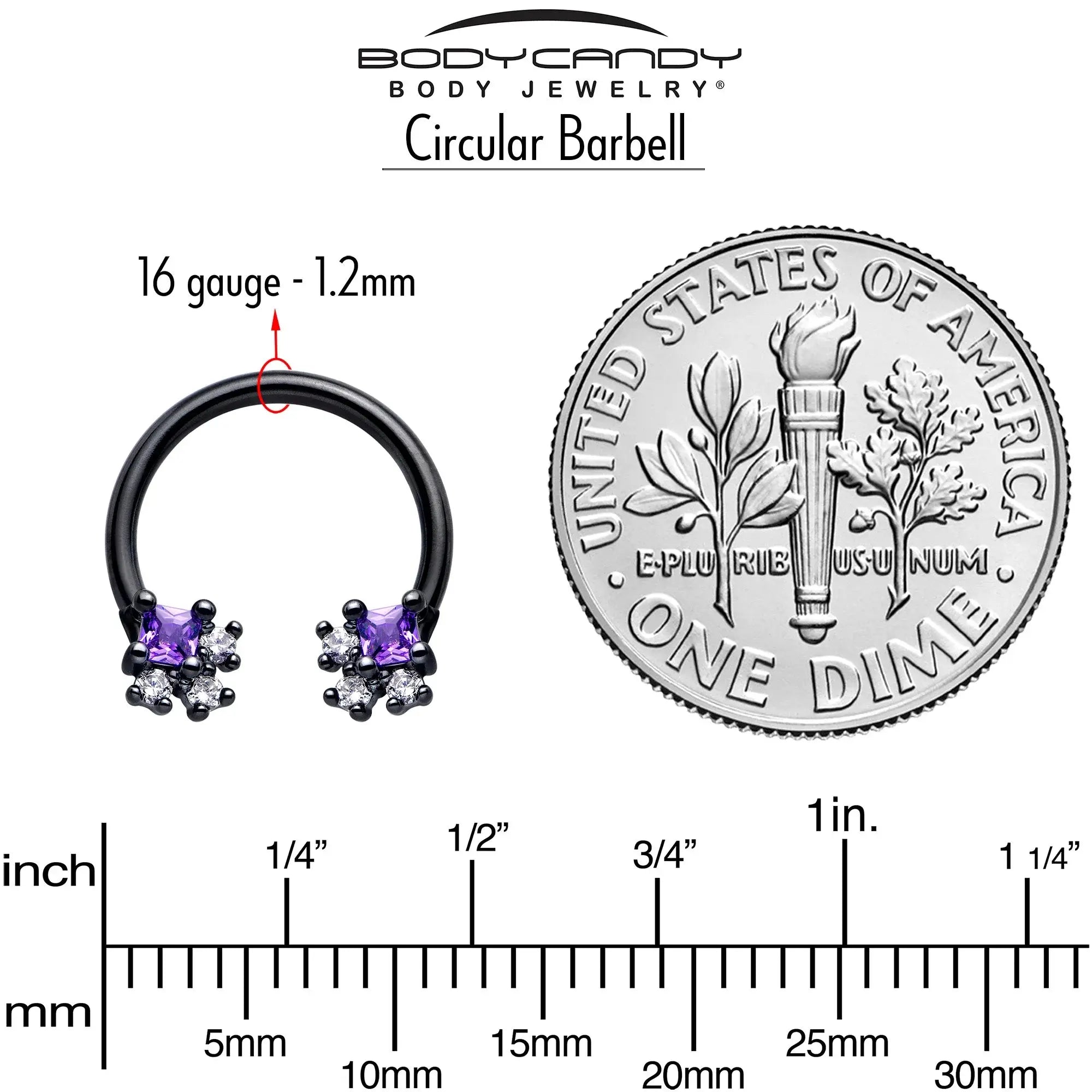 16G 3/8 Purple CZ Gem Black Rhombus Riot Horseshoe Circular Barbell - BodyCandy - Flyclothing LLC