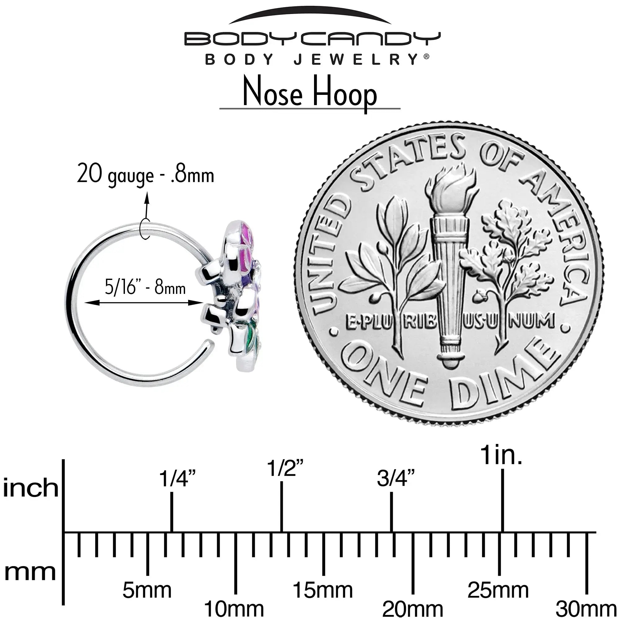 20G 5/16 Clear CZ Gem Flower Purple Nose Hoop - BodyCandy - Flyclothing LLC