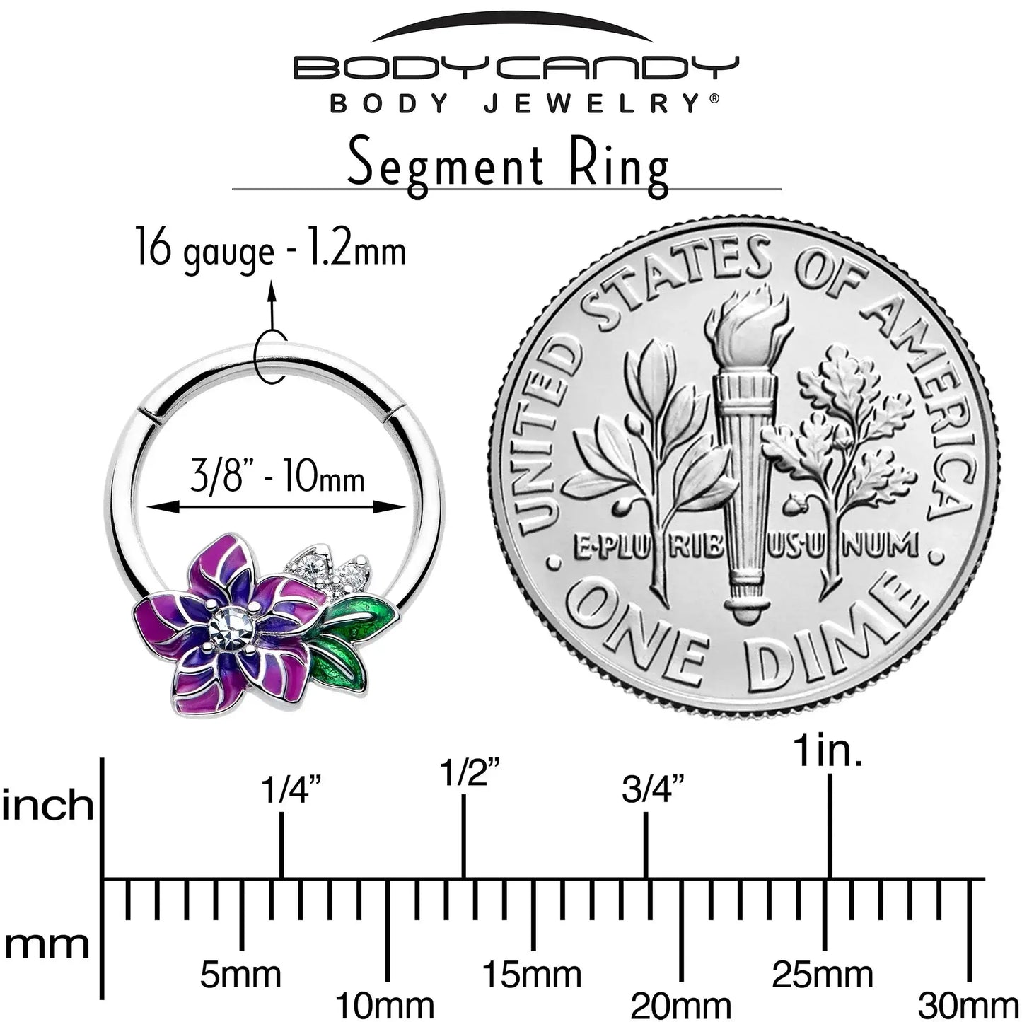 16G 3/8 Clear CZ Gem Flower Purple Hinged Segment Ring - BodyCandy - Flyclothing LLC