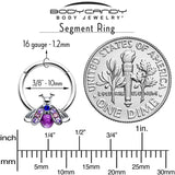 16G 3/8 Pink Blue Gem Beautiful Insect Hinged Segment Ring - BodyCandy - Flyclothing LLC