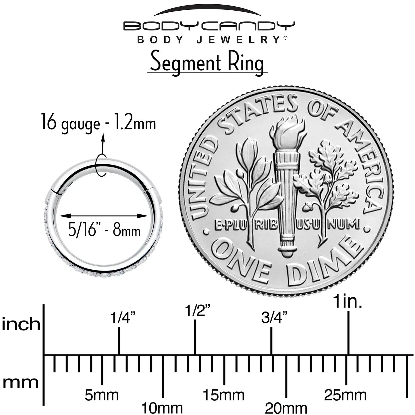 16G Clear Cubic Zirconia Forward Facing Hinged Segment Ring - BodyCandy - Flyclothing LLC