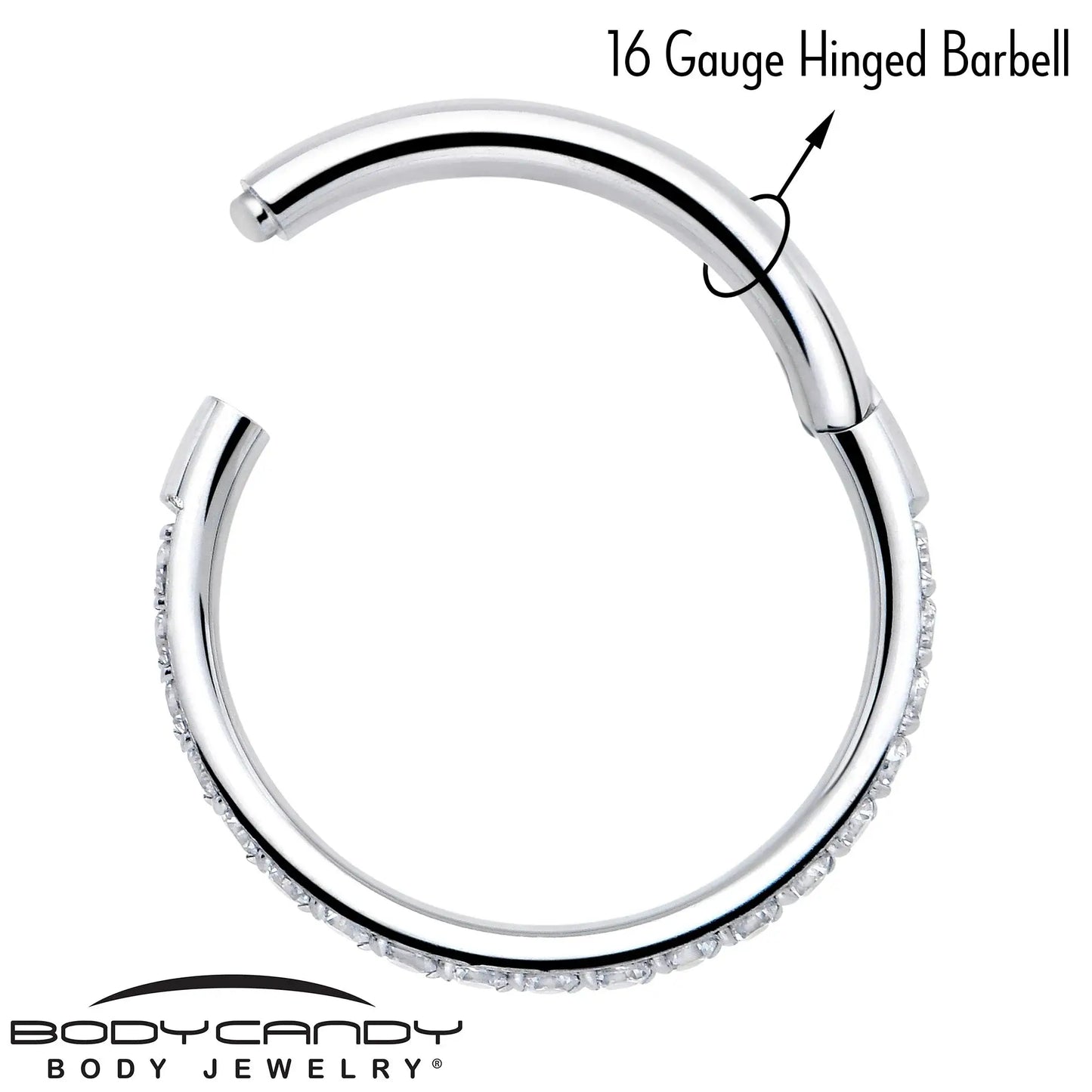 16G Clear Cubic Zirconia Forward Facing Hinged Segment Ring - BodyCandy - Flyclothing LLC