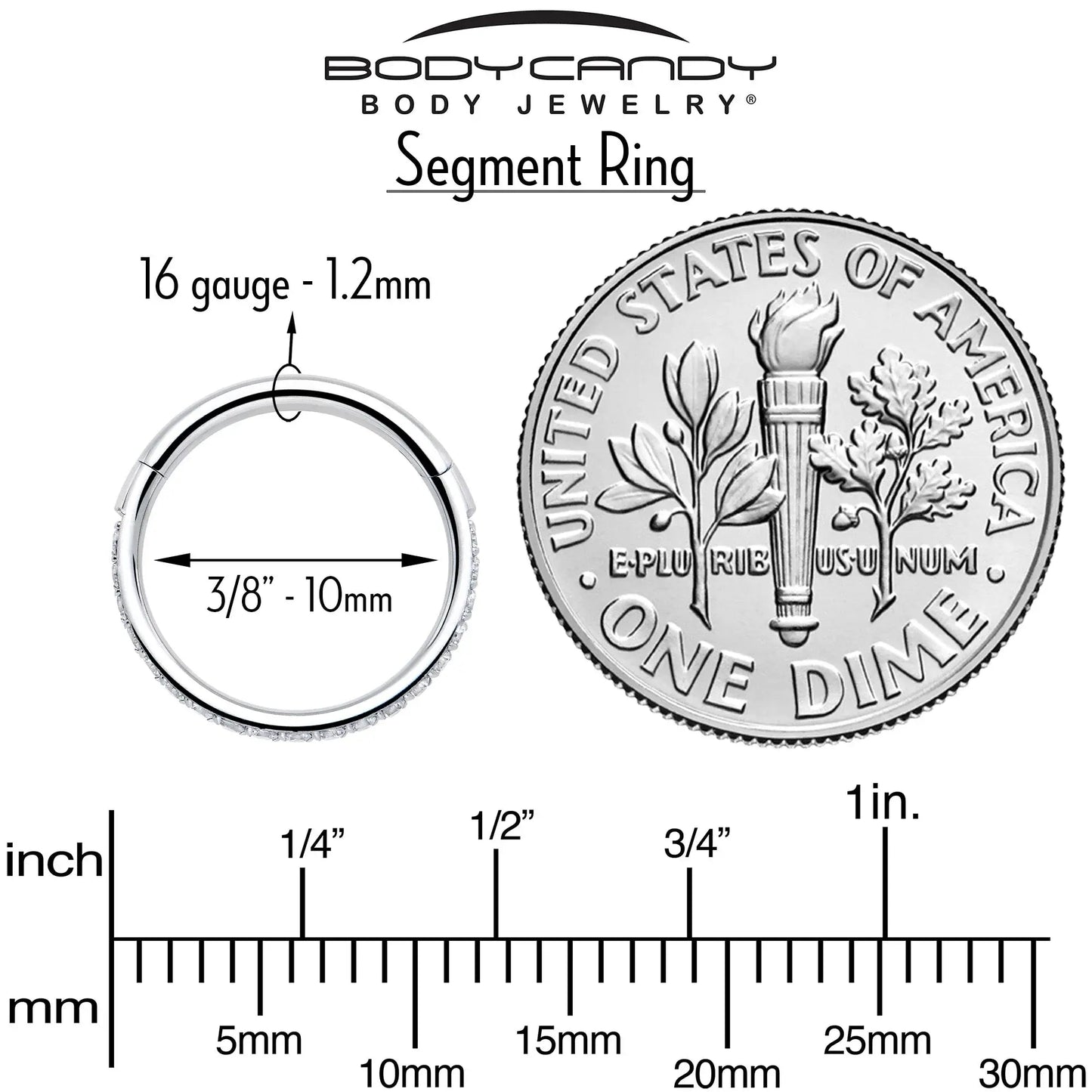 16G Clear Cubic Zirconia Forward Facing Hinged Segment Ring - BodyCandy - Flyclothing LLC