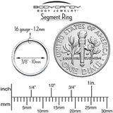 16G Clear Cubic Zirconia Forward Facing Hinged Segment Ring - BodyCandy - Flyclothing LLC