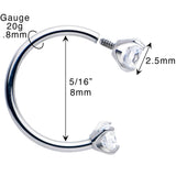 Double Gem Horseshoe Nose Ring Kit with Ball Grabber - BodyCandy - Flyclothing LLC