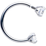 Double Gem Horseshoe Nose Ring Kit with Ball Grabber - BodyCandy - Flyclothing LLC
