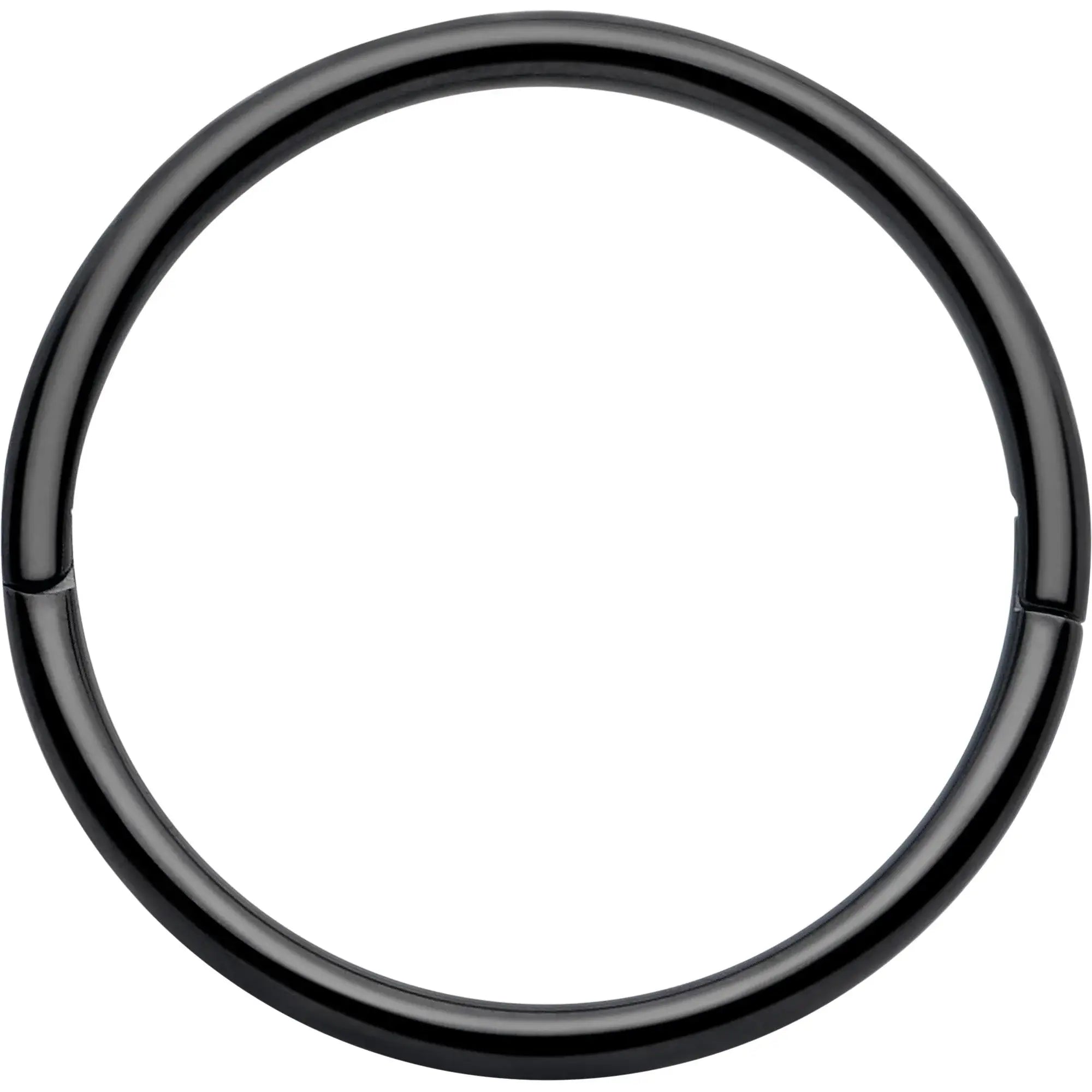 20G Implant Grade Titanium Half Closure Hinged Segment Ring - BodyCandy - Flyclothing LLC