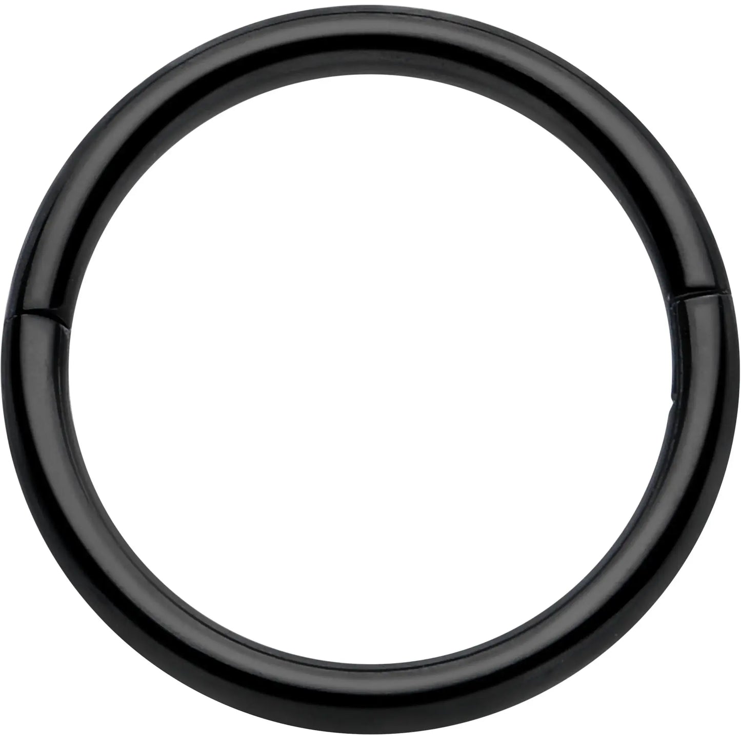 20G Implant Grade Titanium Half Closure Hinged Segment Ring - BodyCandy - Flyclothing LLC