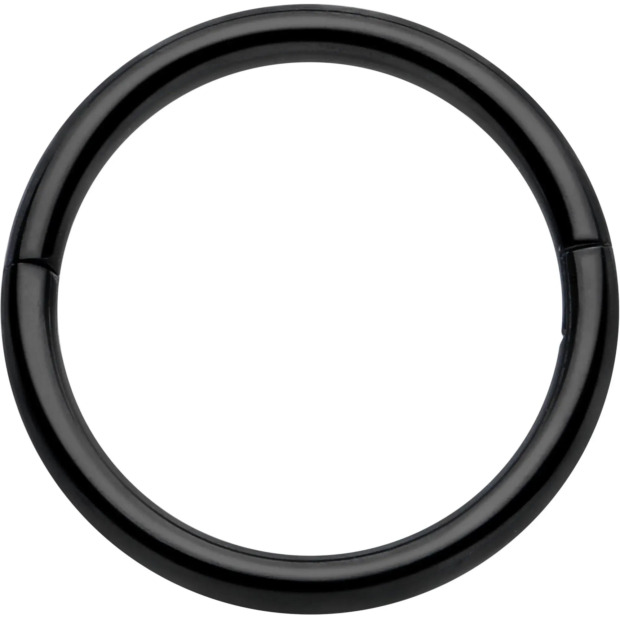 20G Implant Grade Titanium Half Closure Hinged Segment Ring - BodyCandy - Flyclothing LLC