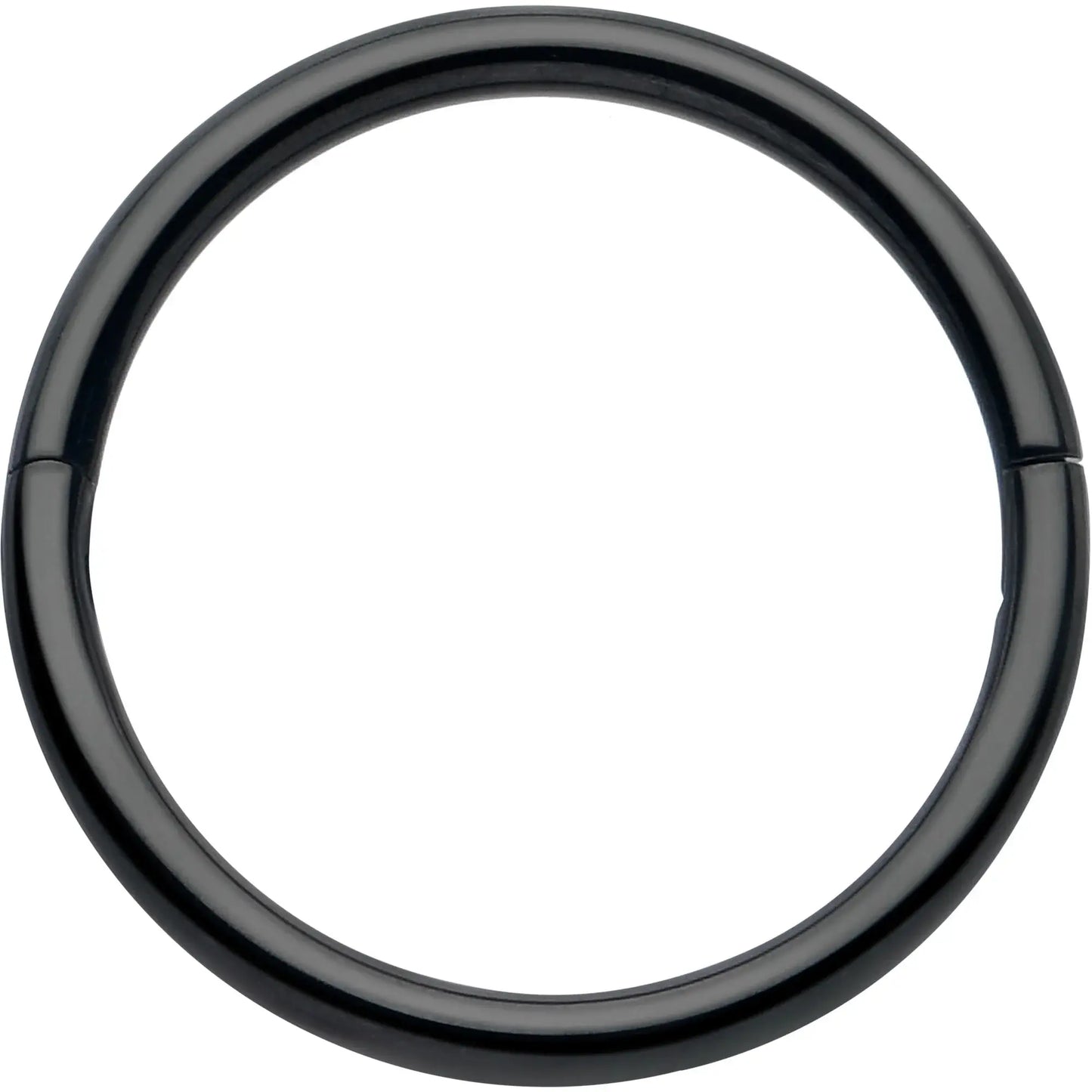 20G Implant Grade Titanium Half Closure Hinged Segment Ring - BodyCandy - Flyclothing LLC