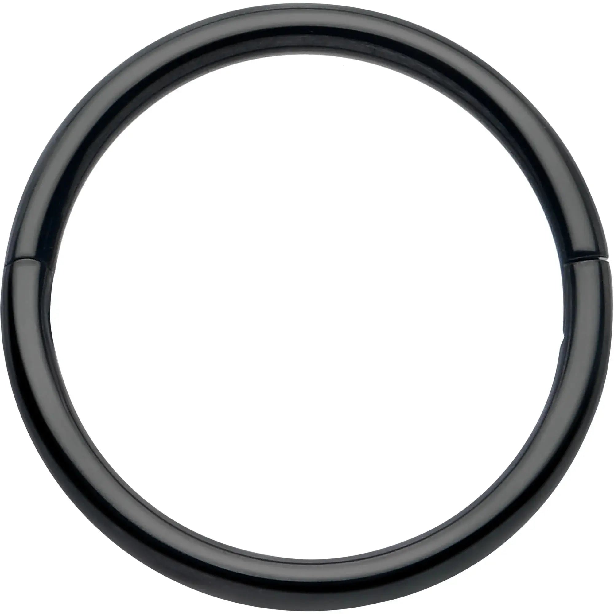 20G Implant Grade Titanium Half Closure Hinged Segment Ring - BodyCandy - Flyclothing LLC