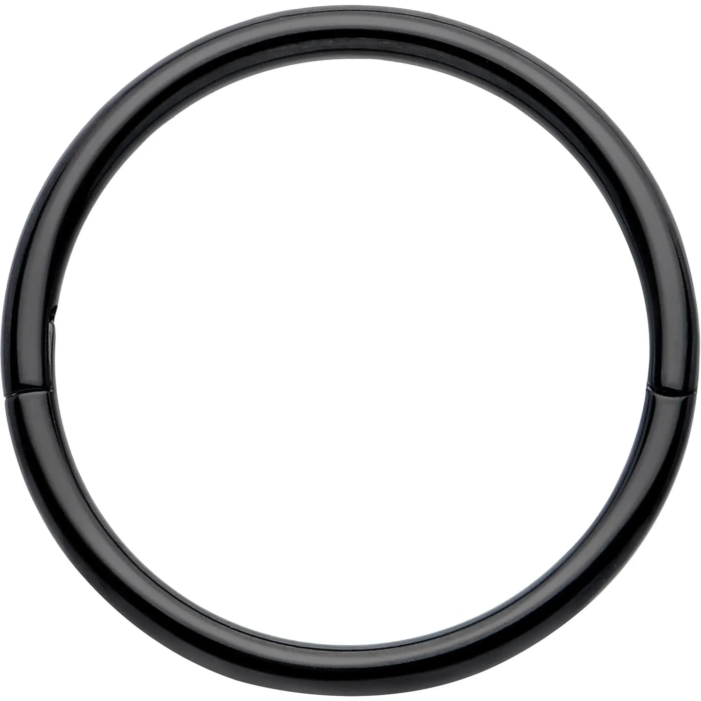 20G Implant Grade Titanium Half Closure Hinged Segment Ring - BodyCandy - Flyclothing LLC