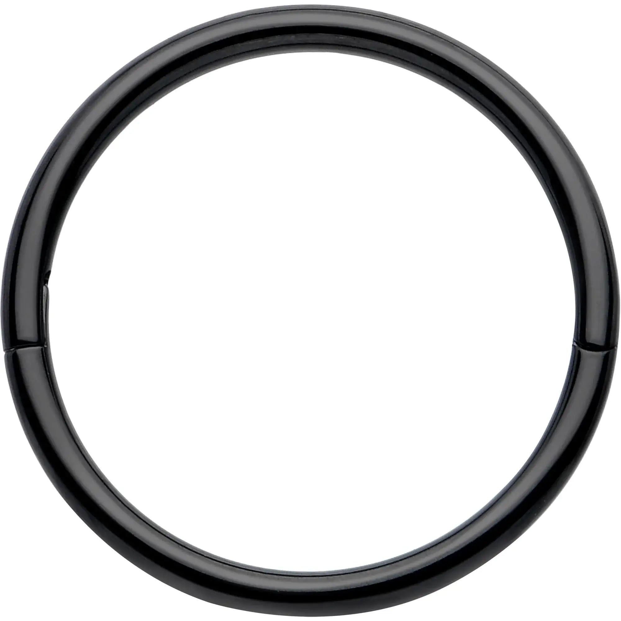 20G Implant Grade Titanium Half Closure Hinged Segment Ring - BodyCandy - Flyclothing LLC