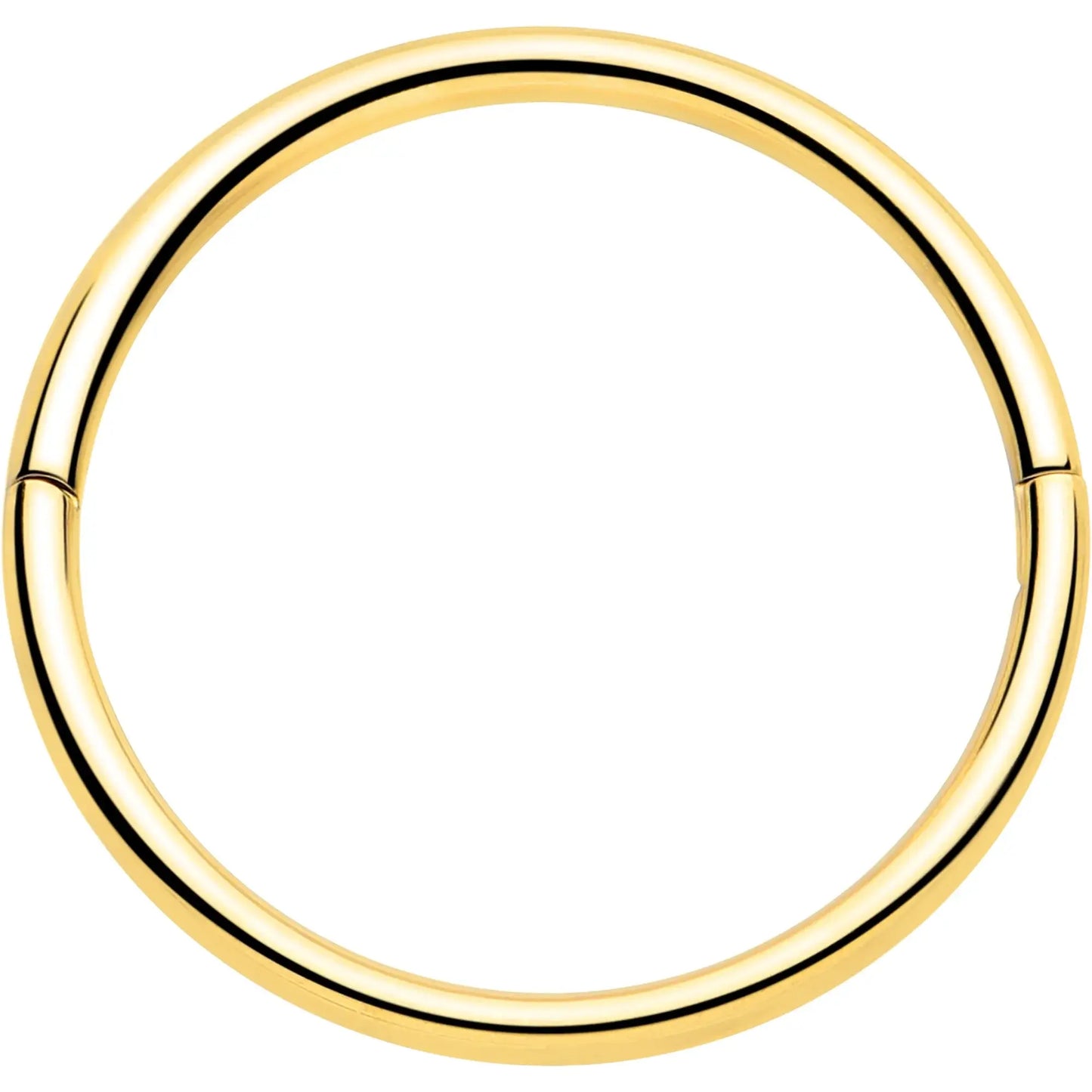 20G Implant Grade Titanium Half Closure Hinged Segment Ring - BodyCandy - Flyclothing LLC
